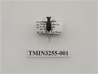 藏品(黃星虎甲蟲(深山小虎甲蟲))的圖片